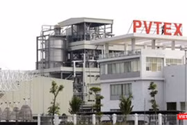 Nhà máy sản xuất xơ sợi polyester Đình Vũ (PVTex) 