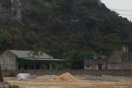 Xưởng sản xuất gỗ dăm quy mô trái phép của Công ty Tân Phú hoạt động trong Khu kinh tế Nghi Sơn. Ảnh: Sơn Lâm.