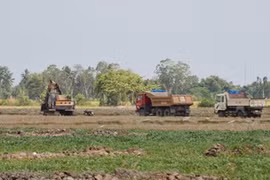 Mặt ruộng đang bị “xẻ thịt”