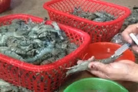 Một miếng ăn 3 Bộ quản lý, dân vẫn "xơi" đồ độc hại là sao?
