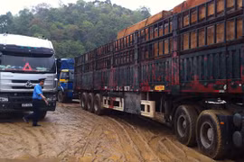 Xe chở gỗ quá tải bị chặn bắt ở Nghệ An