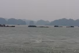 Vẩn tải than đường thủy ở Quảng Ninh
