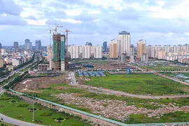 Ảnh minh họa