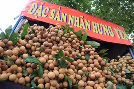 Nhãn Thái Lan, Trung Quốc gắn mác nhãn lồng Hưng Yên