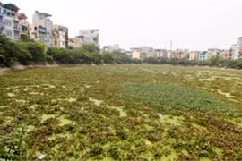 Hà Nội mất 7,2 ha mặt hồ trong 5 năm