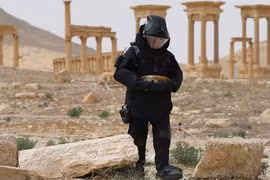 Một chuyên gia rà phá bom mìn của Quân đội Nga làm nhiệm vụ tại thành phố Palmyra, Syria (Ảnh: Bộ Quốc phòng Nga)