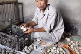 Nghi vấn trứng vịt “chuyển màu” sau khi dùng thức ăn chăn nuôi Trung Quốc