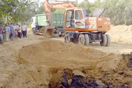 Chất thải chôn trong trang trại ở phường Kỳ Trinh.