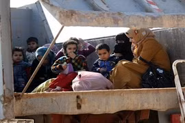 Phụ nữ và trẻ em trên đường chạy trốn khỏi Fallujah, Iraq. (ảnh: AFP).