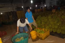 Hai công nhân bị bắt quả tang đang "tắm" hóa chất cho trái sầu riêng 