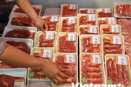 Hàn Quốc tạm ngừng nhập khẩu thịt bò Canada vì bệnh bò điên