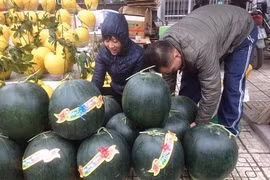 Dưa khổng lồ đổ bộ về Hà Nội ngày cận Tết