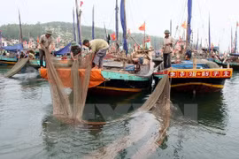 Ảnh minh họa: Huy Hùng/TTXVN