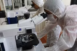 Mới có 204 DN khoa học công nghệ