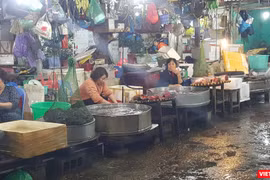 Ảnh: Bùi Phú