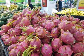 Hình minh họa