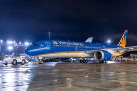 Máy bay mới Boeing 787-9 Dreamliner kế thừa màu xanh đặc trưng và hình ảnh bông sen vàng, với đường lượn màu vàng tinh tế, tăng kích cỡ logo hoa sen, sử dụng màu kem nhạt ở phần bụng máy bay