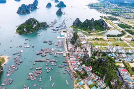 Hình minh họa. Nguồn: Báo Đầu tư
