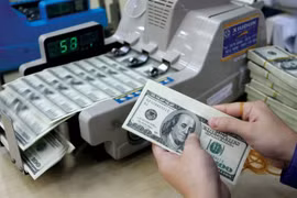 USD tự do lên 21.900 đồng/USD