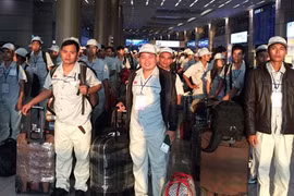 Hơn 7.000 lao động Việt Nam có cơ hội sang Hàn Quốc làm việc