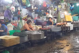Ảnh minh họa - VietTimes
