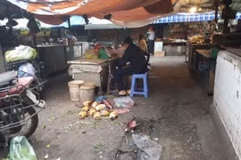 Bến Tre: Phổ biến quy định mới trong đảm bảo an toàn thực phẩm tuyến huyện, xã - Ảnh minh họa 