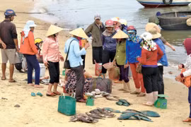 Ảnh minh họa. Nguồn Internet