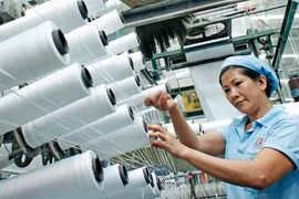 Vốn mỏng, nhân lực yếu, ngành dệt may Việt Nam đang gặp nhiều khó khăn 