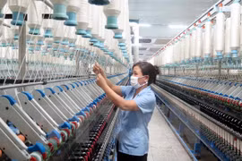 Ảnh chỉ có tính minh họa. (Ảnh: Hiền Hạnh/TTXVN)