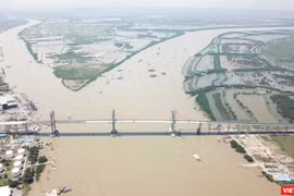  Cầu Bạch Đằng nối Quảng Ninh với Hải Phòng. Ảnh: Hải Sâm