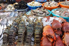 Hình minh họa
