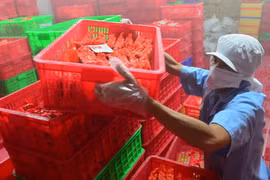 Vụ Vietfoods: QLTT nói doanh nghiệp “cứ vơ vào mình rồi nói tại này, tại kia“