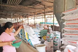 Thức ăn chăn nuôi tại một trang trại có chứa chất cấm - Ảnh minh họa