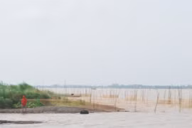 Đất bãi bồi như thế này ở huyện Lai Vung đã bị ông Tổng lấn chiếm rồi cho người khác thuê lại.
