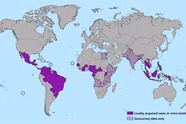 Mỹ xuất hiện virus Zika cực kỳ nguy hiểm