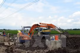 Đơn vị kiểm định chất lượng bê tông tiến hành khoan trụ bê tông cột điện cao thế để lấy mẫu kiểm định chất lượng. (Ảnh: Văn Đạt/TTXVN)