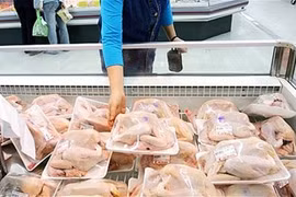 Gà từ 24 quốc gia đang ‘tấn công’ gà Việt Nam
