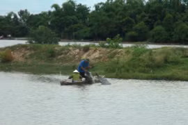 Người nuôi trồng thủy hải sản ở thôn Cồn Nâm (xã Quảng Minh) điêu đứng sau vụ cá chết