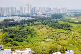 Ban Thường vụ Thành ủy TPHCM đã thống nhất đề nghị kỷ luật với các cá nhân liên quan.