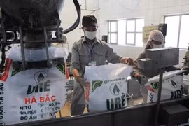 Đạm Hà Bắc lỗ gần 700 tỷ chỉ trong 1 năm