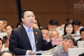 Đại biểu Lưu Bình Nhưỡng. Nguồn: quochoi.vn