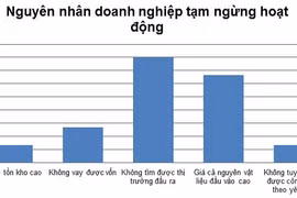 Nguyên nhân dẫn đến việc tạm ngừng hoạt động của doanh nghiệp (kết quả khảo sát VBIS-VCCI)