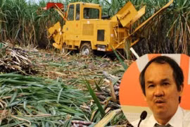 Đường của bầu Đức nhập từ Lào về Việt Nam sẽ được miễn thuế