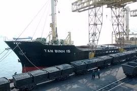 Chính phủ không bảo lãnh các tập đoàn đang mắc nợ