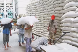 Đề xuất thu mua tạm trữ gạo ngược phản biện chuyên gia