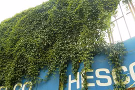 Dự án Hesco Văn Quán vang bóng một thời là đây!