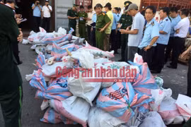 Kiểm đếm các bao tải ngà voi. 