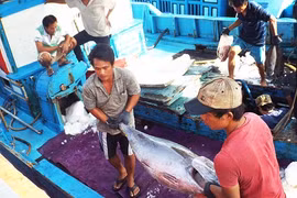 Về hiệu quả khai thác biển, Việt Nam chỉ bằng 1/94 của Nhật Bản 