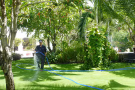 Chủ đầu tư các resort thường dành nhiều diện tích để cho cây xanh, cảnh quan và than phiền là không công bằng nếu tiền thuê đất của diện tích này được tính bằng với diện tích xây dựng, kinh doanh - Ảnh: Đào Loan