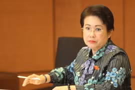 Phó bí thư Đồng Nai Phan Thị Mỹ Thanh. Ảnh: Võ Văn Thành